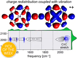 Mechanisms of IR amplification in radical cation polarons